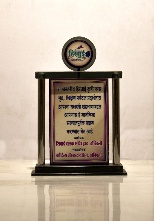 Award ceremony moment 3